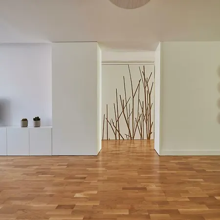 Luxury Apartment In The Most Privileged Lisbon-2
